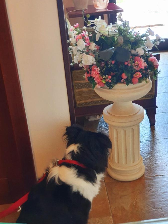 Griko Country Hotel Lecce Dış mekan fotoğraf